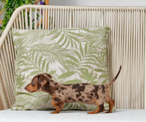 fabric cushions textiles outdoor design